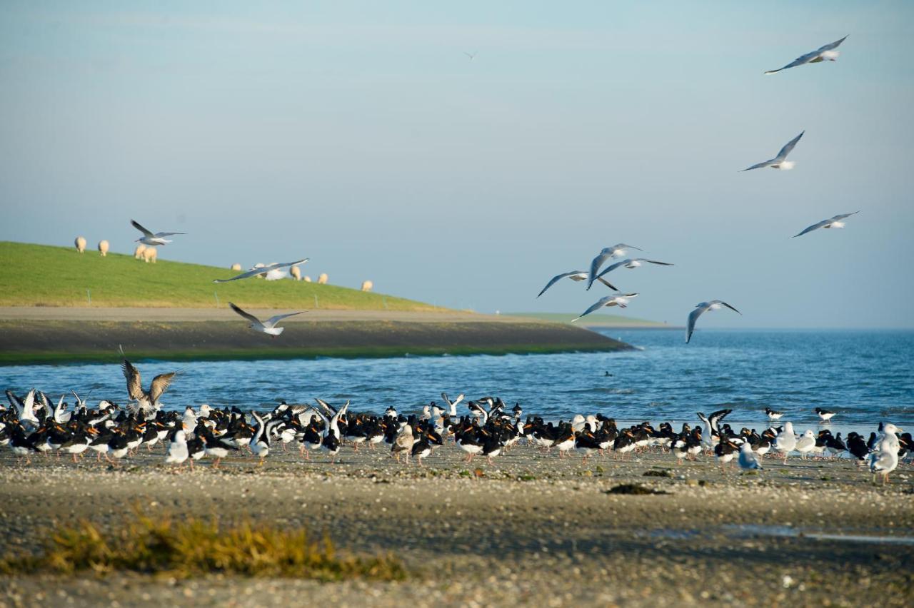 Breeze Ameland 호텔 홀륌 외부 사진